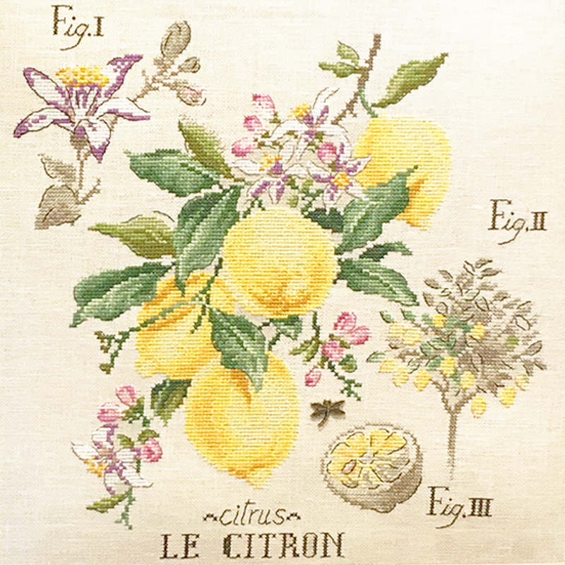Aïda «Citrons» Study (Maxi pattern)