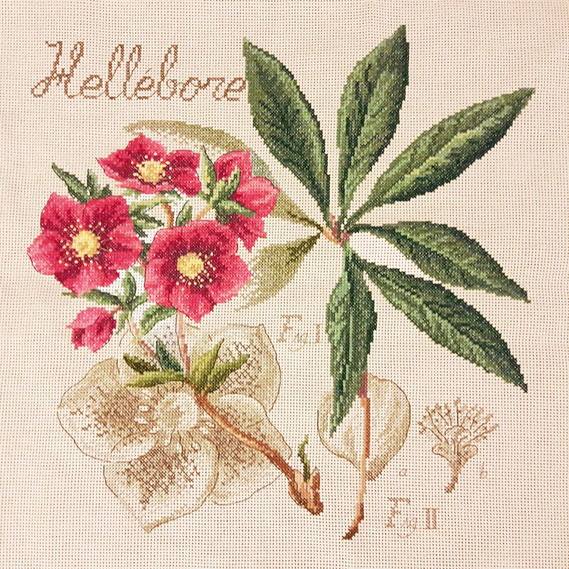 Linen : «Hellébore» Study (maxi-pattern)