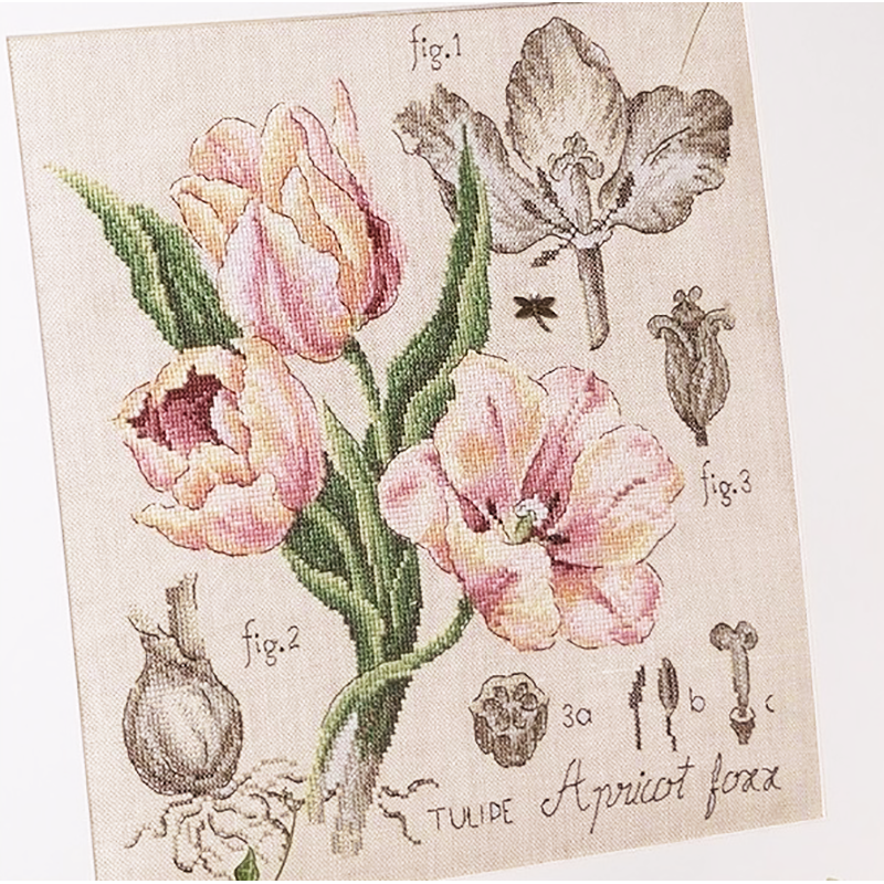 Aïda «Tulipe» Study (maxi-pattern)