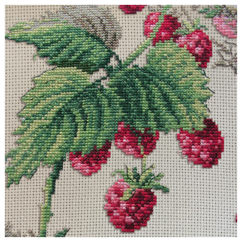 Aïda : Étude aux Framboises (maxi-grille)