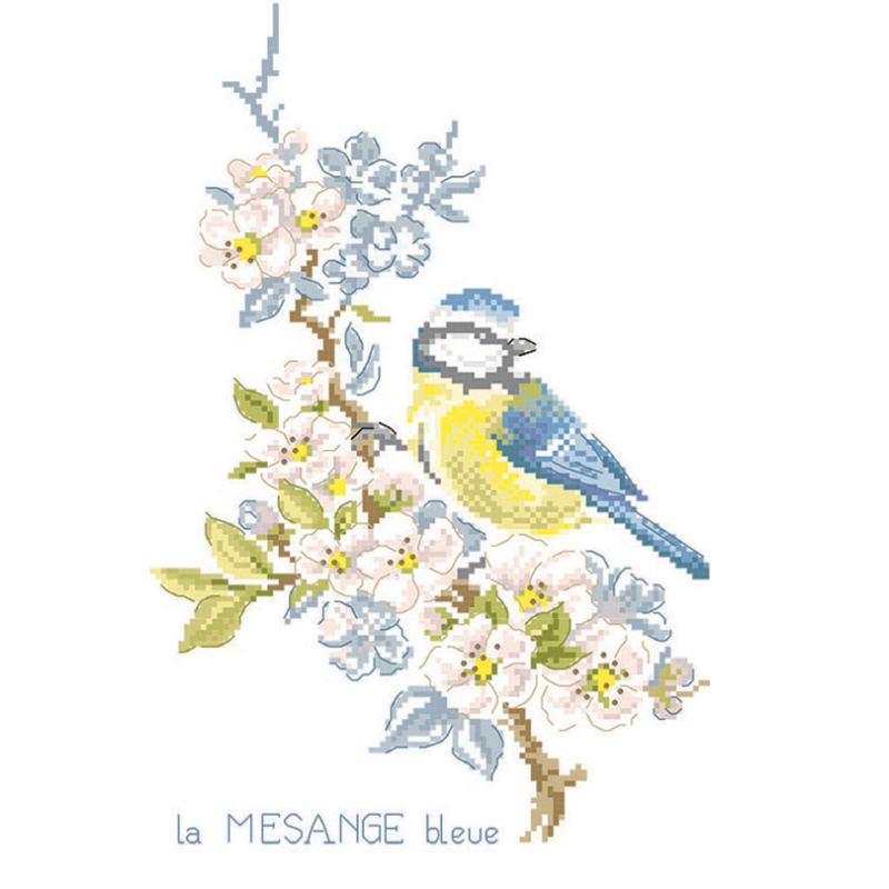 Aïda : Étude à la Mésange