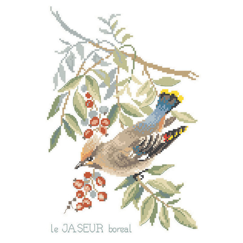 Lin : Étude au Jaseur