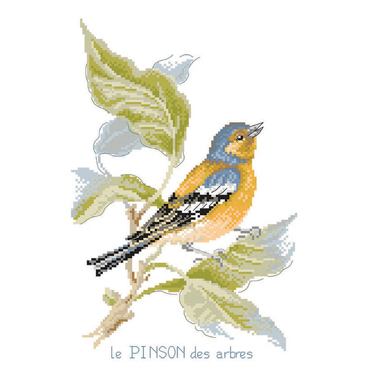 Lin : Étude au Pinson