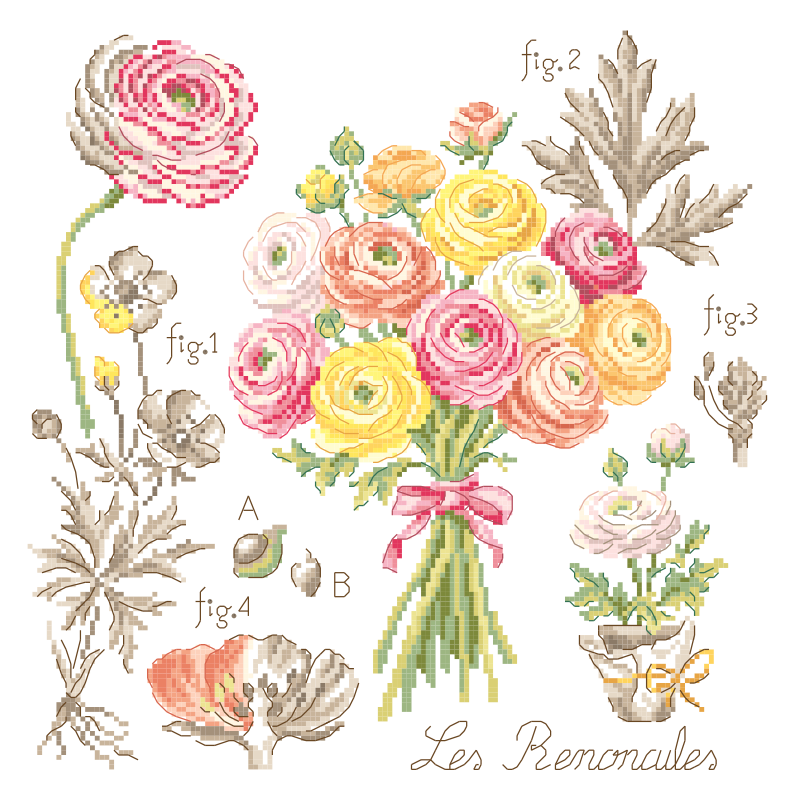 Aida : «renoncules» Study (maxi-pattern)