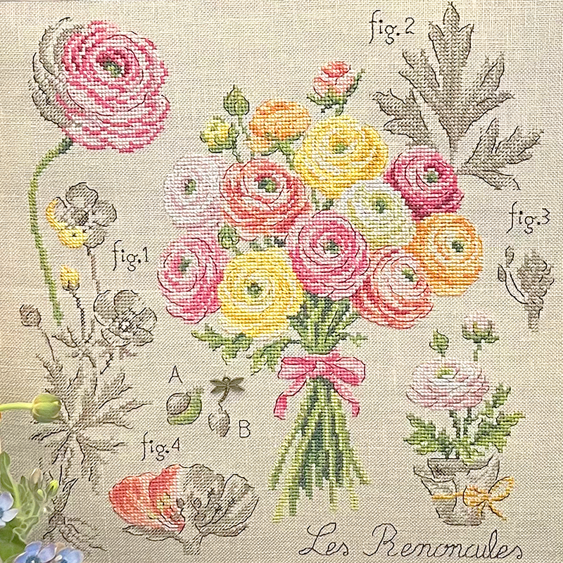 Linen : «renoncules» Study (maxi-pattern)