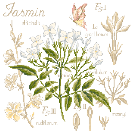 Linen : «Jasmin» Study (maxi-pattern) Linen : «Jasmin» Study (maxi-pattern)