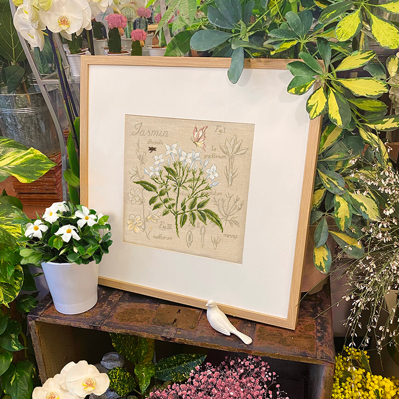 Linen : «Jasmin» Study (maxi-pattern)