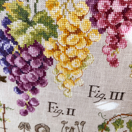 Linen «Raisins» Study (maxi pattern) Linen «Raisins» Study (maxi pattern)
