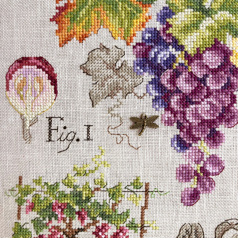 Linen «Raisins» Study (maxi pattern)