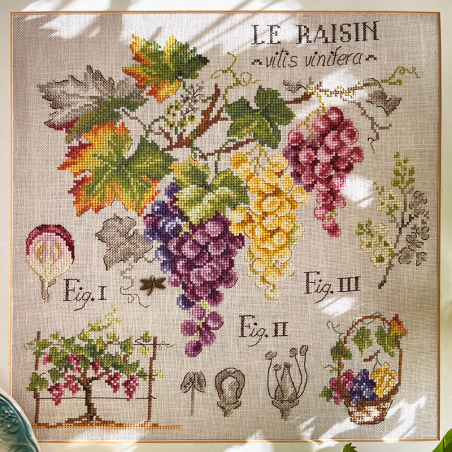 Lin : Étude aux Raisins (maxi-grille) Lin : Étude aux Raisins (maxi-grille)