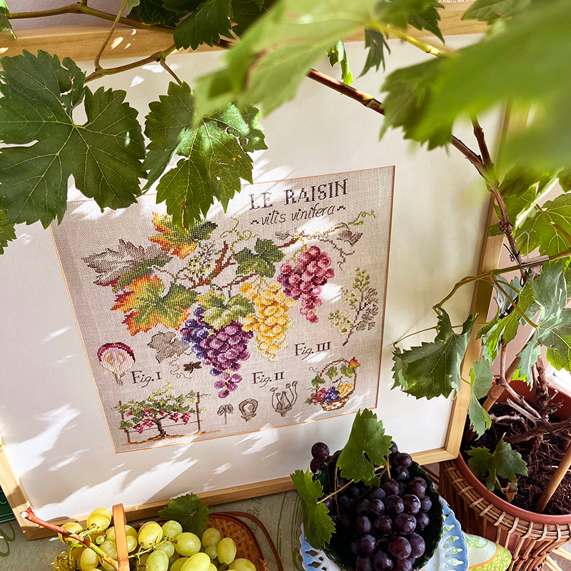 Linen «Raisins» Study (maxi pattern)