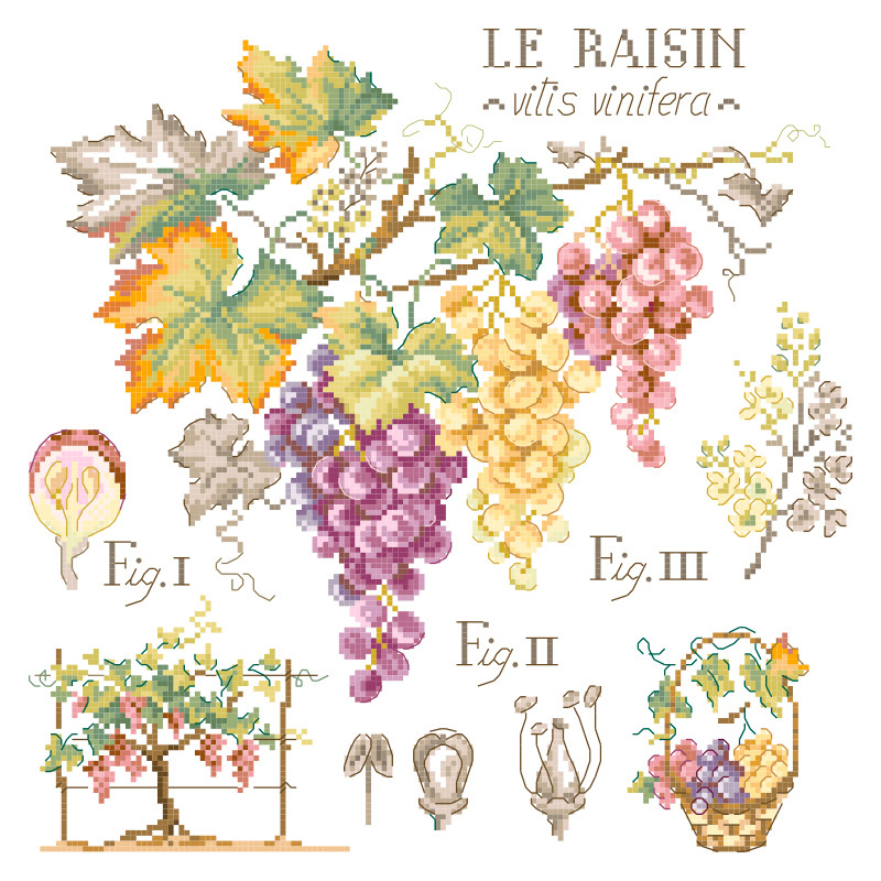 Linen «Raisins» Study (maxi pattern)