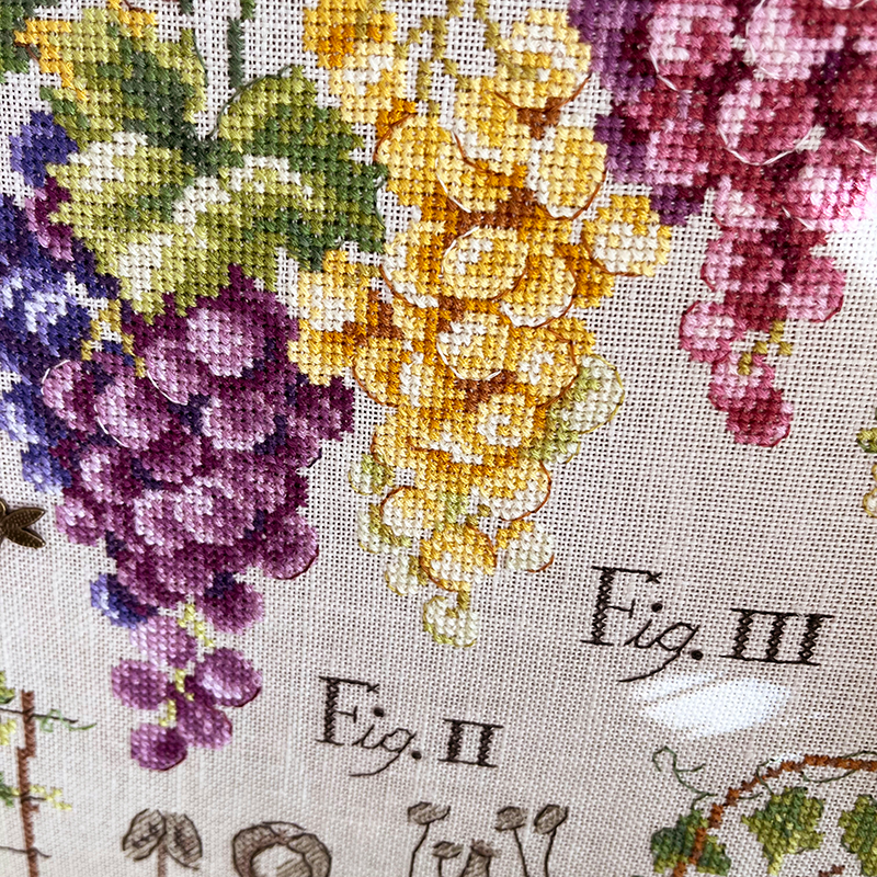 Aïda «Raisins» Study (Maxi pattern)