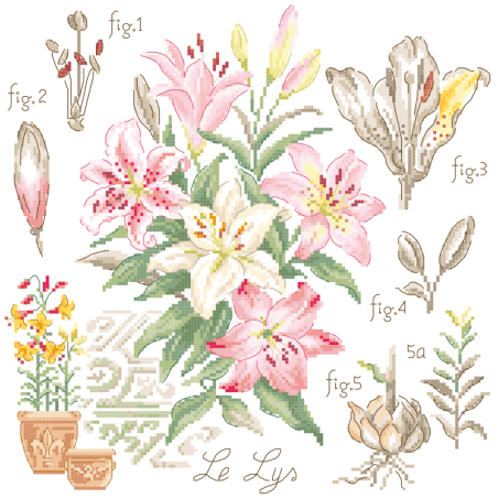 Aïda : «Lys» Study (maxi-pattern)