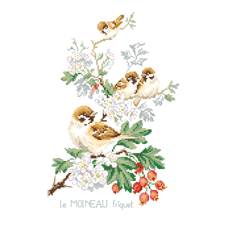 Linen «Moineaux» Study