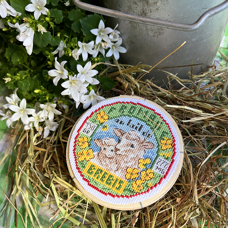 The Grand Story of «Fermette»