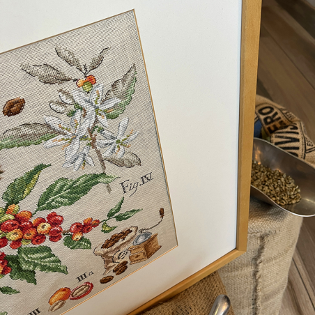 Linen «Café» Study (maxi pattern)