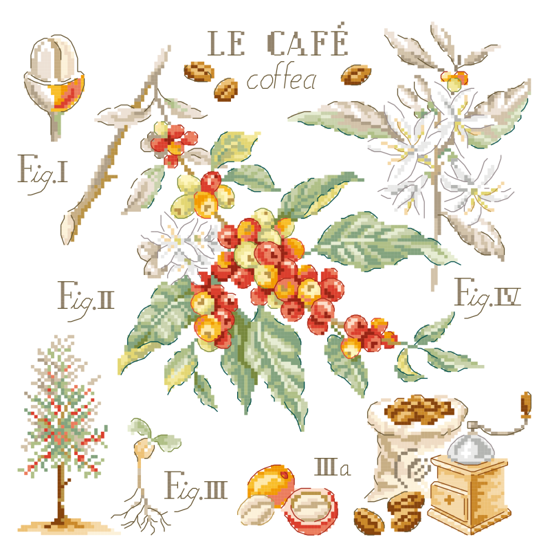 Linen «Café» Study (maxi pattern)