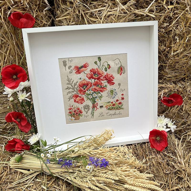 Aida : «Coquelicots» Study (maxi-pattern)