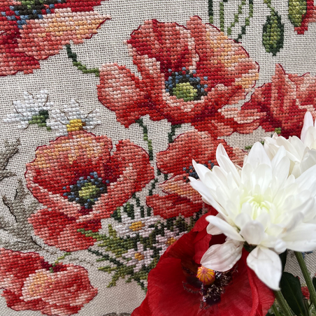 Aida : «Coquelicots» Study (maxi-pattern)