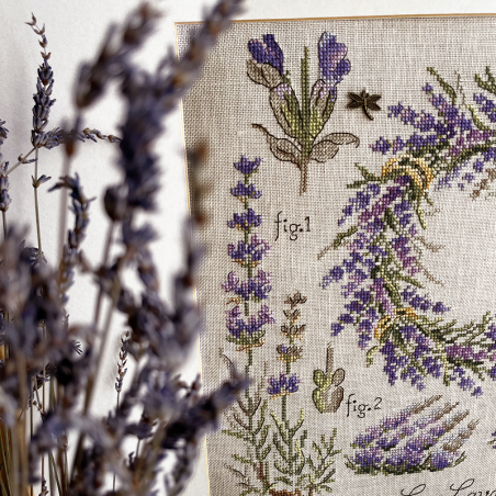 Linen : «Lavande» Study (maxi-pattern)